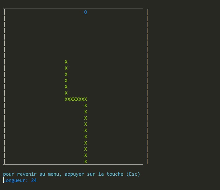 Screenshot du jeu Snake fait en Python