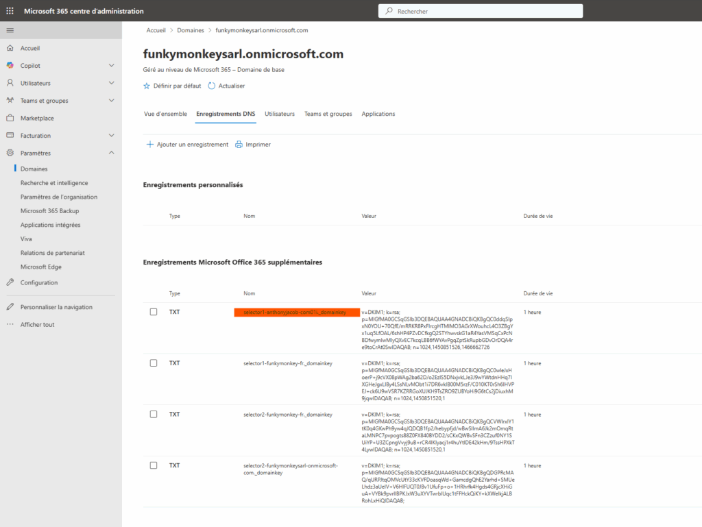 onmicrosoft.com no selector2 record
